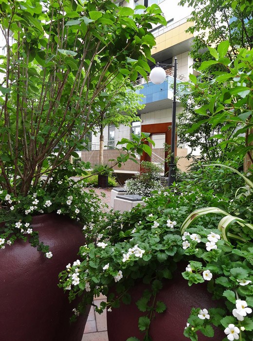 Парк ДК Новоспасский