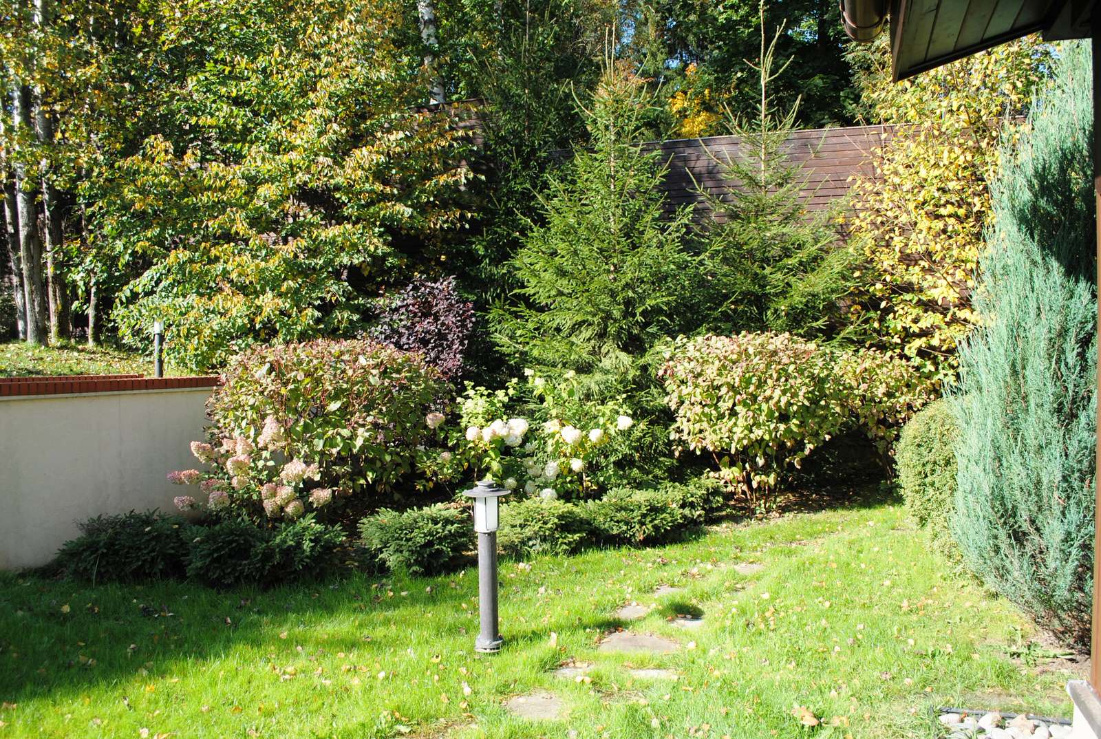 Осенний лес.Дмитровское шоссе