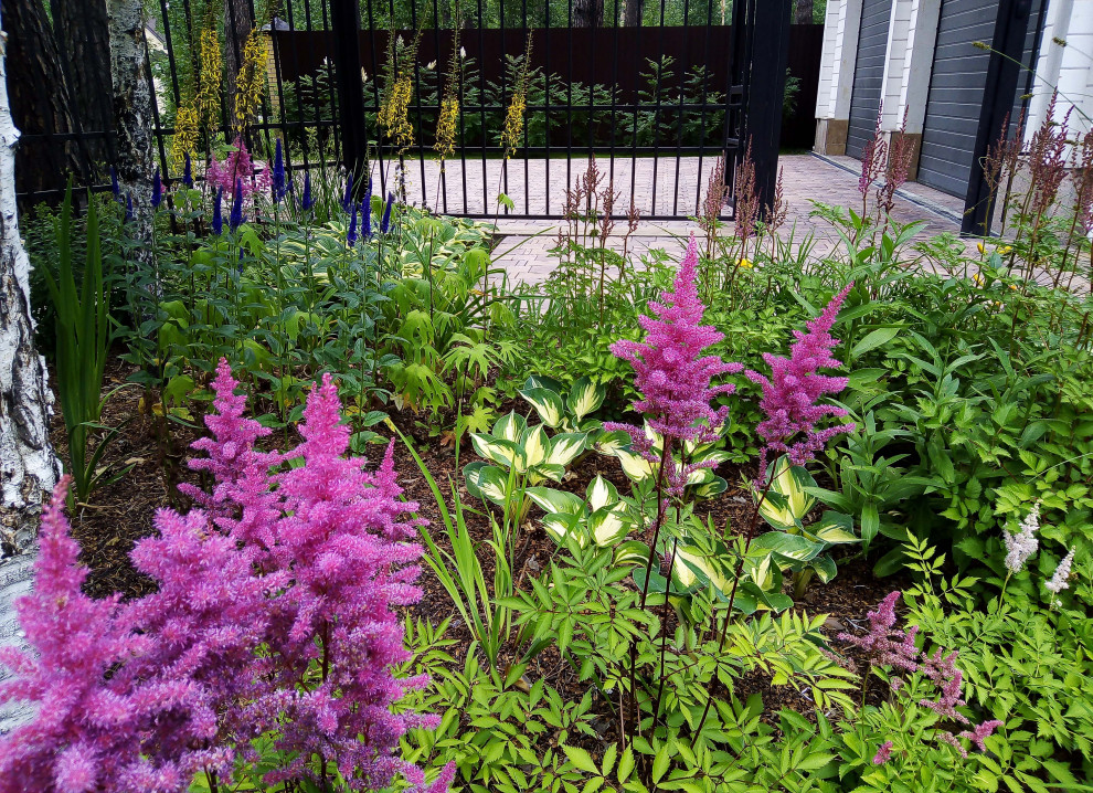 Цветники под пологом леса