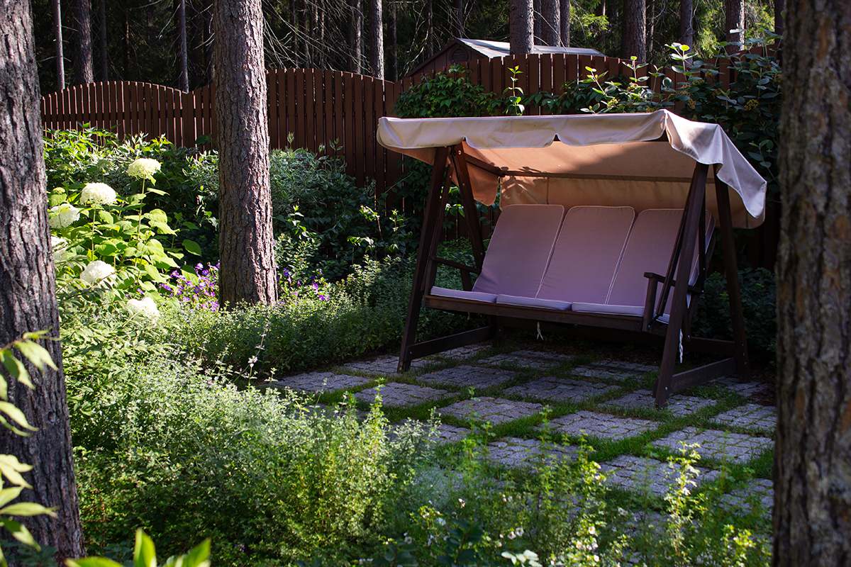 Еловая аллея