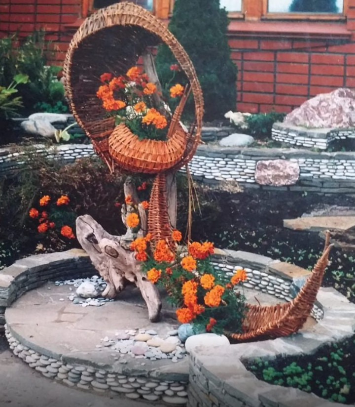 Обложка проекта: Проект 2 "Фитофантазия"