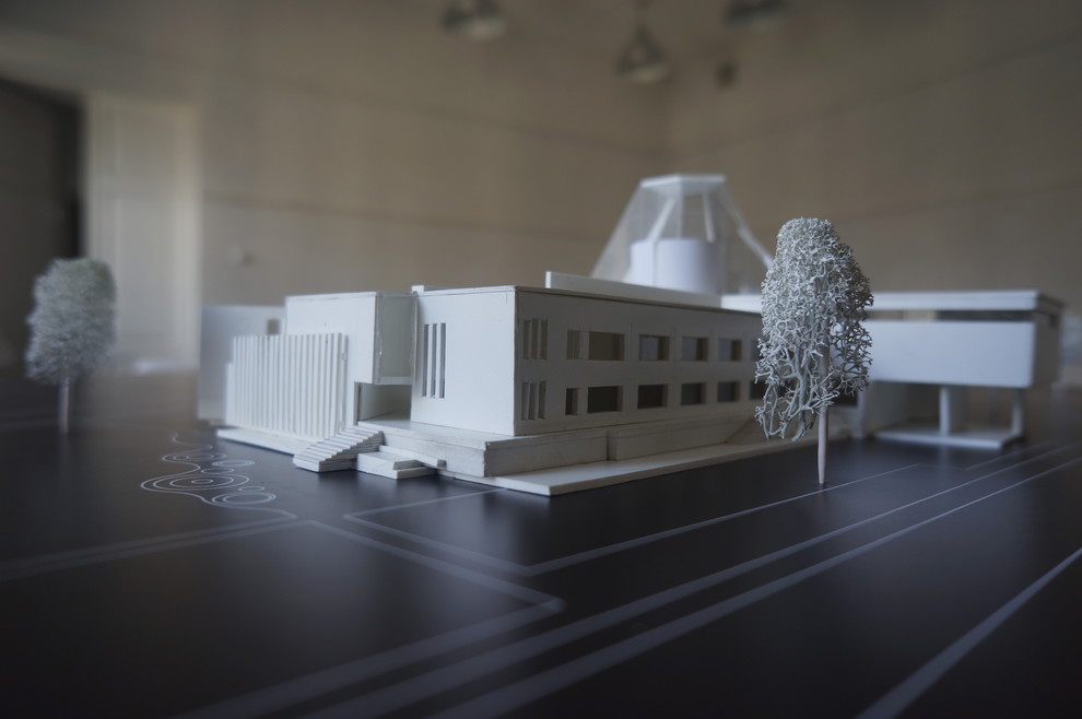 Школа для района "Евроград". Анастасия Ковалёва. Дипломный проект бакалавра.