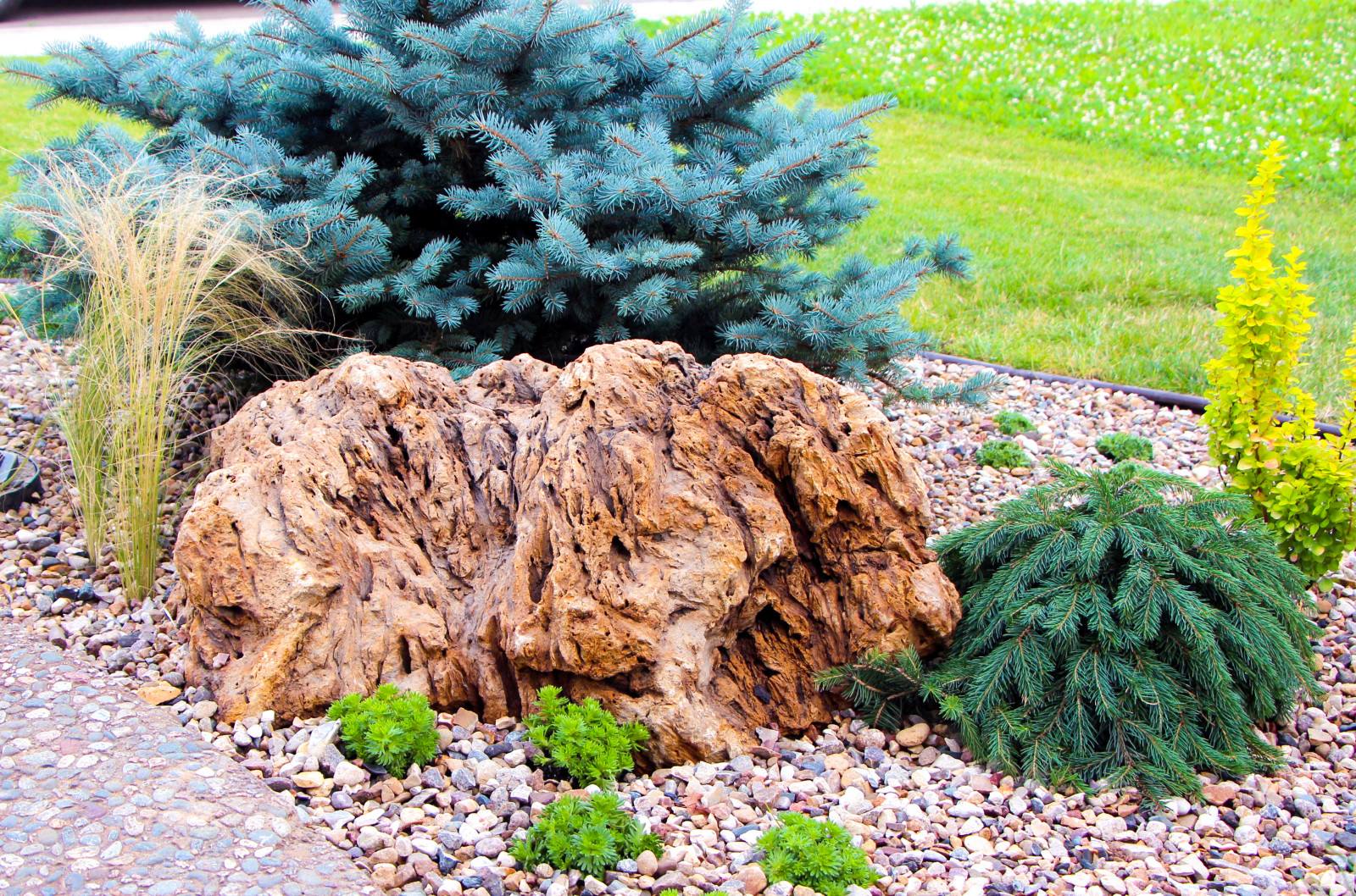 Новые Вешки, 2016