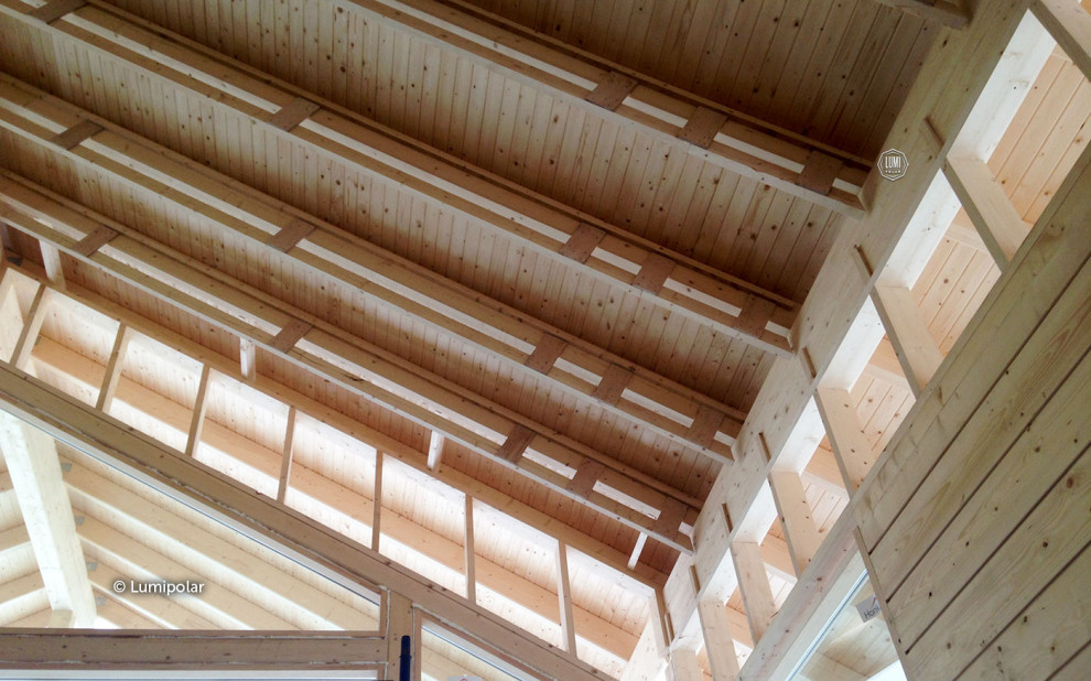 Финский дом Dandy 287