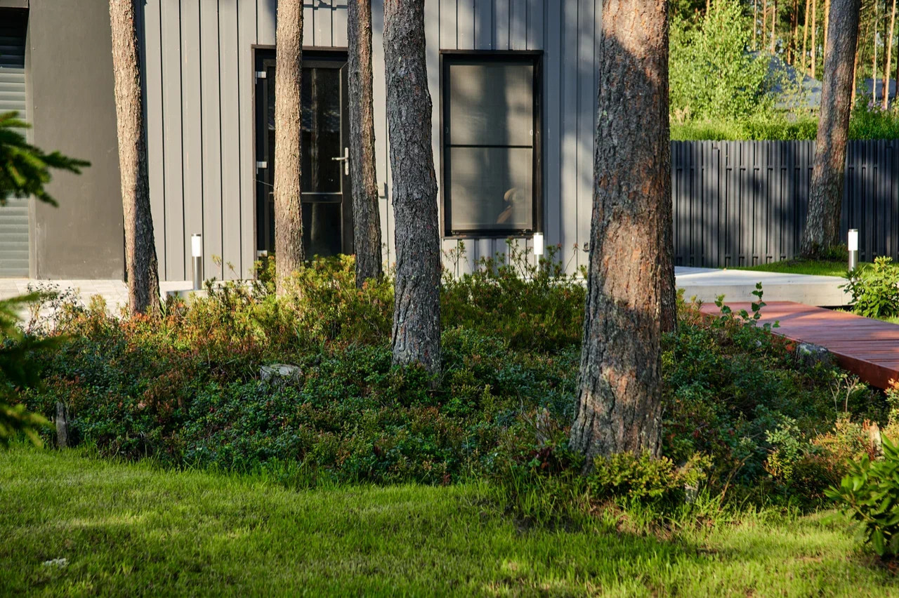 Северная жемчужина