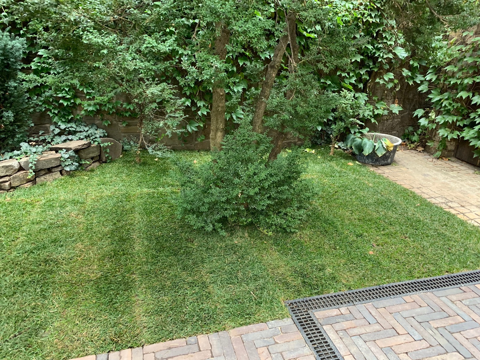 Ландшафт частного участка