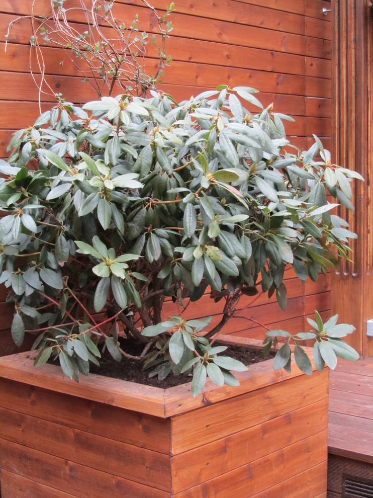 Горная 9 КОЛОМЯГИ