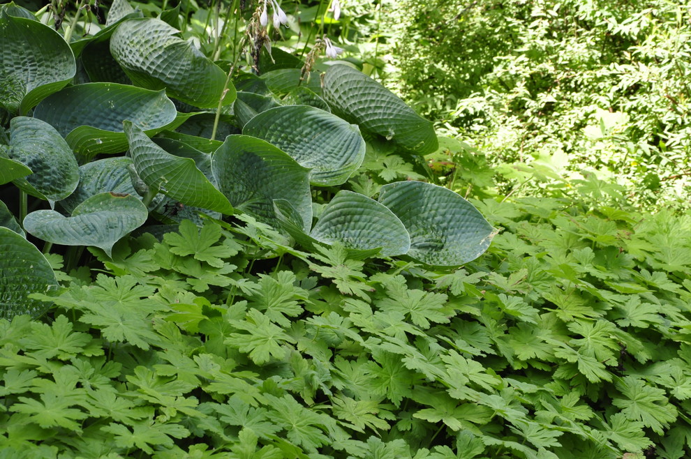 кп. "Архангельское" - Уход за садом - 100% качество!