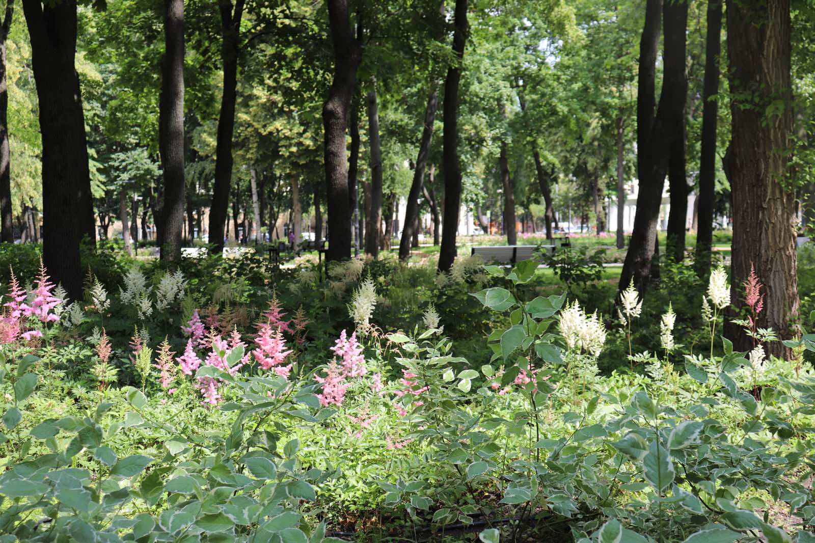 Парк Орленок