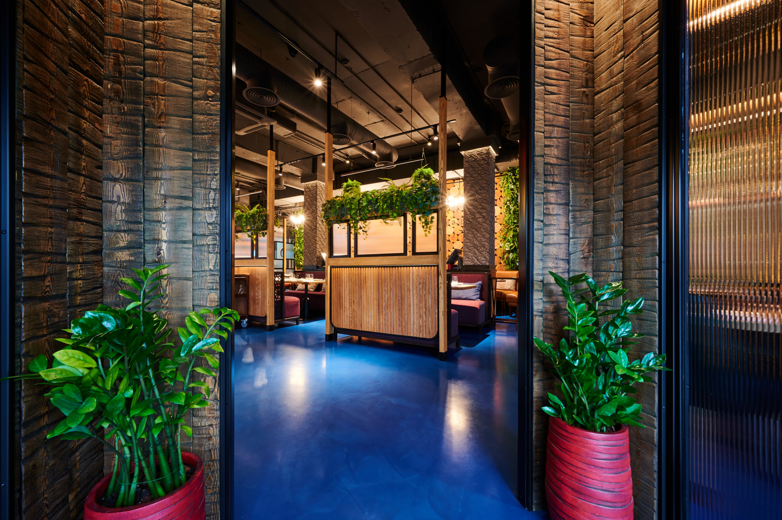 Дмитрий Моисеев