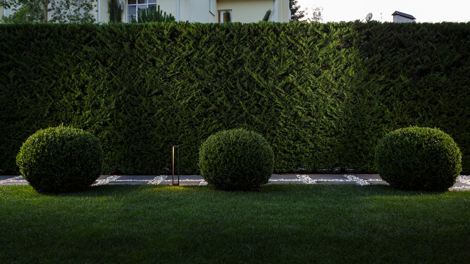 Розмарин. Ландшафтный Дизайн