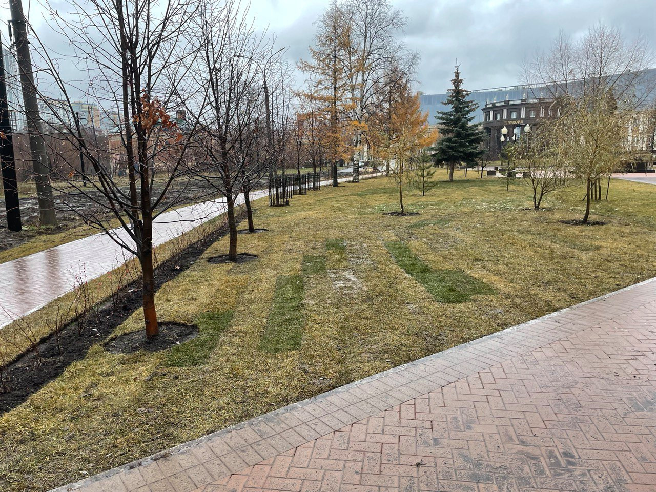 Благоустройство и озеленение городских пространств