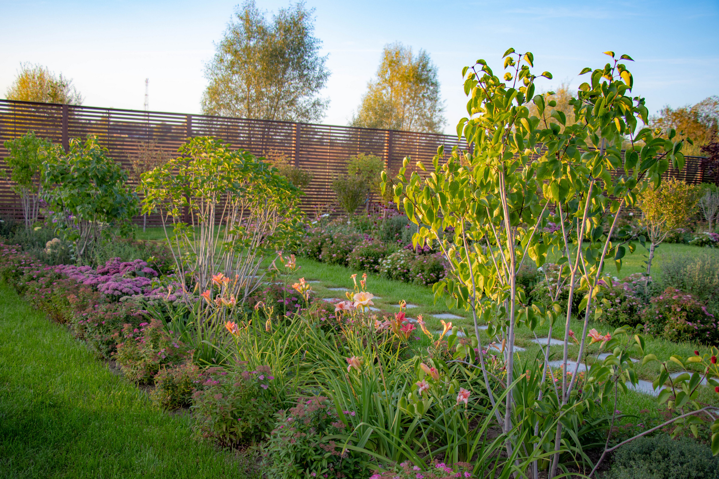 Сосновые берега