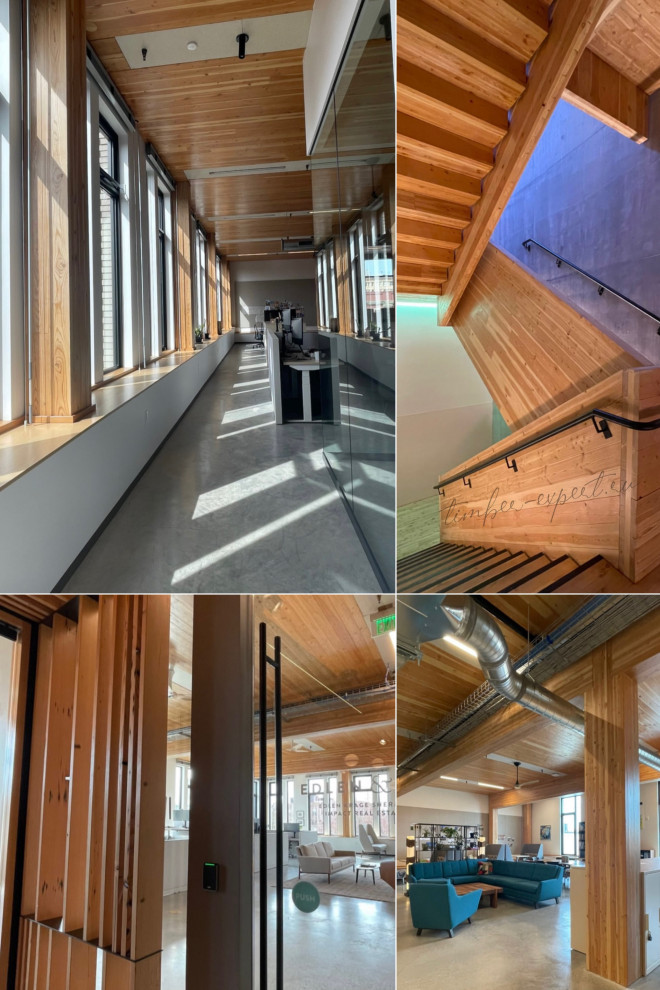 Обложка проекта: Деревянные небоскрёбы. Путешествия по миру современной деревянной архитектуры.