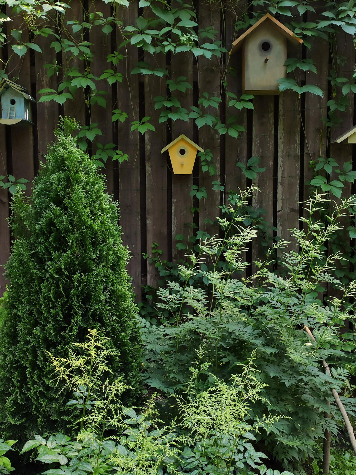 Проект "Форест"