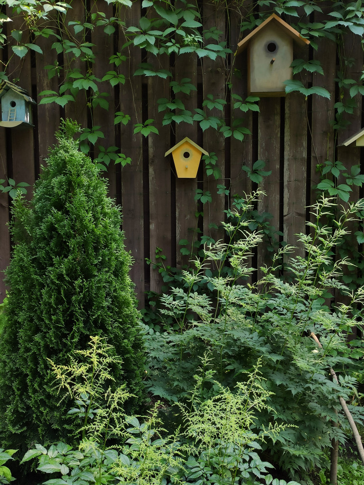 Проект "Форест"