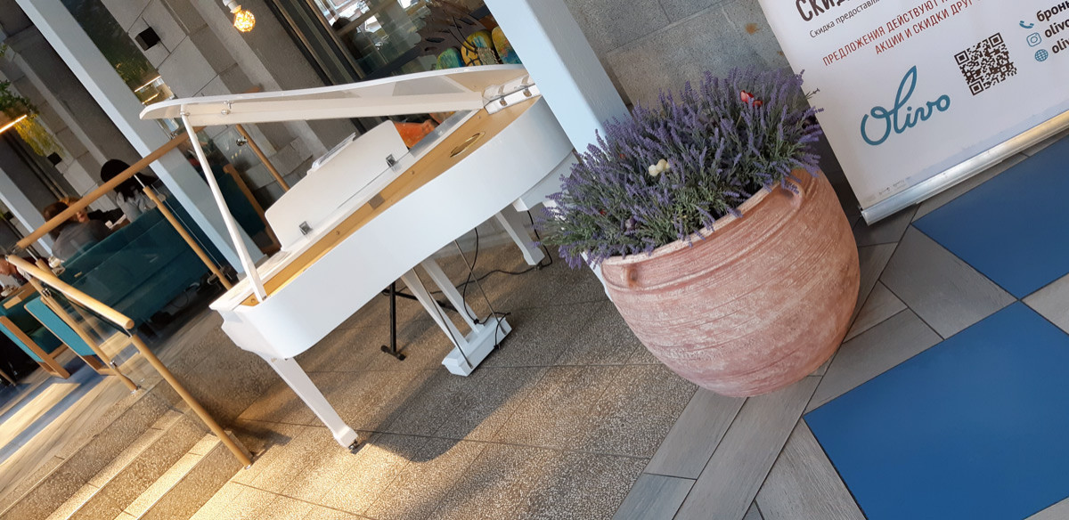 Фоновое изображение профиля Александр Коваленко