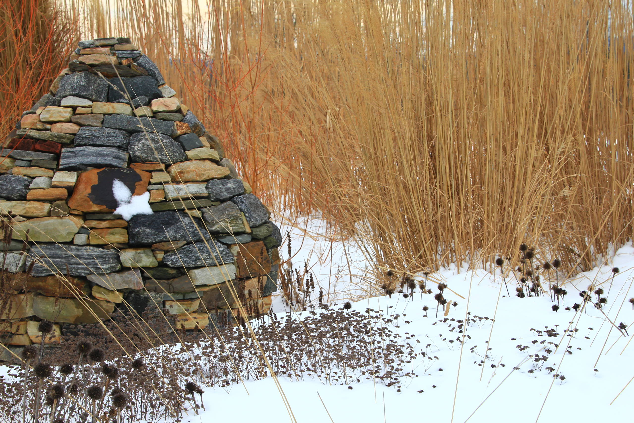 Сад: 9 элементов, чтобы любоваться ими круглый год