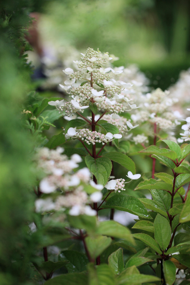 Выставочный сад "Тайны соблазна"
