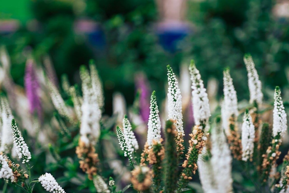 Выставочное пространство в г. Екатеринбурге, Ленина 1 , Россия