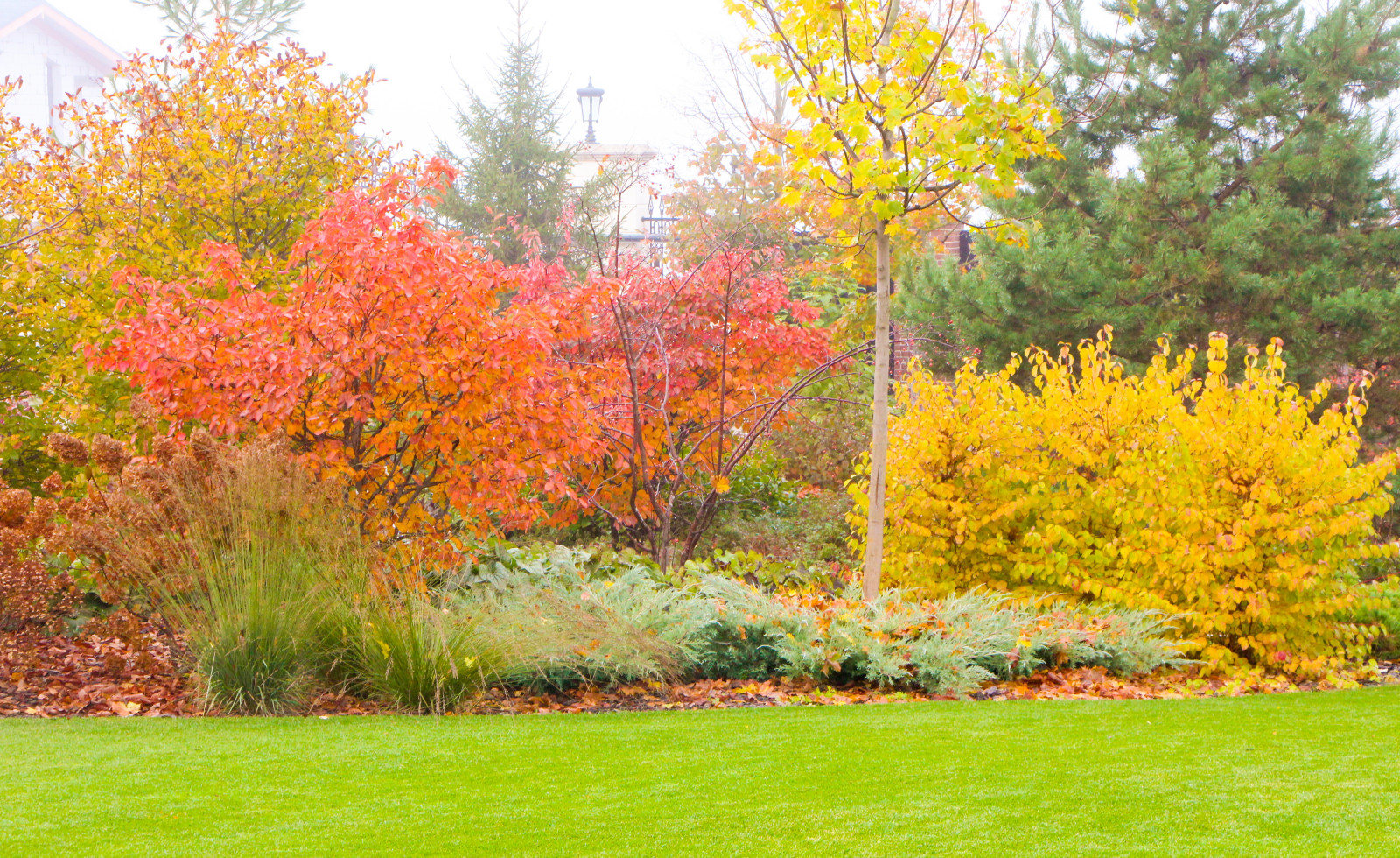 Горки-10, 2017-2020 г.г.