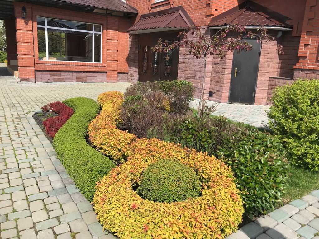 Искусство стрижки и формовки