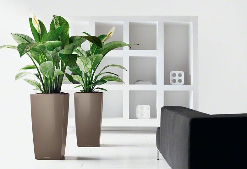 Время для серьезных дел