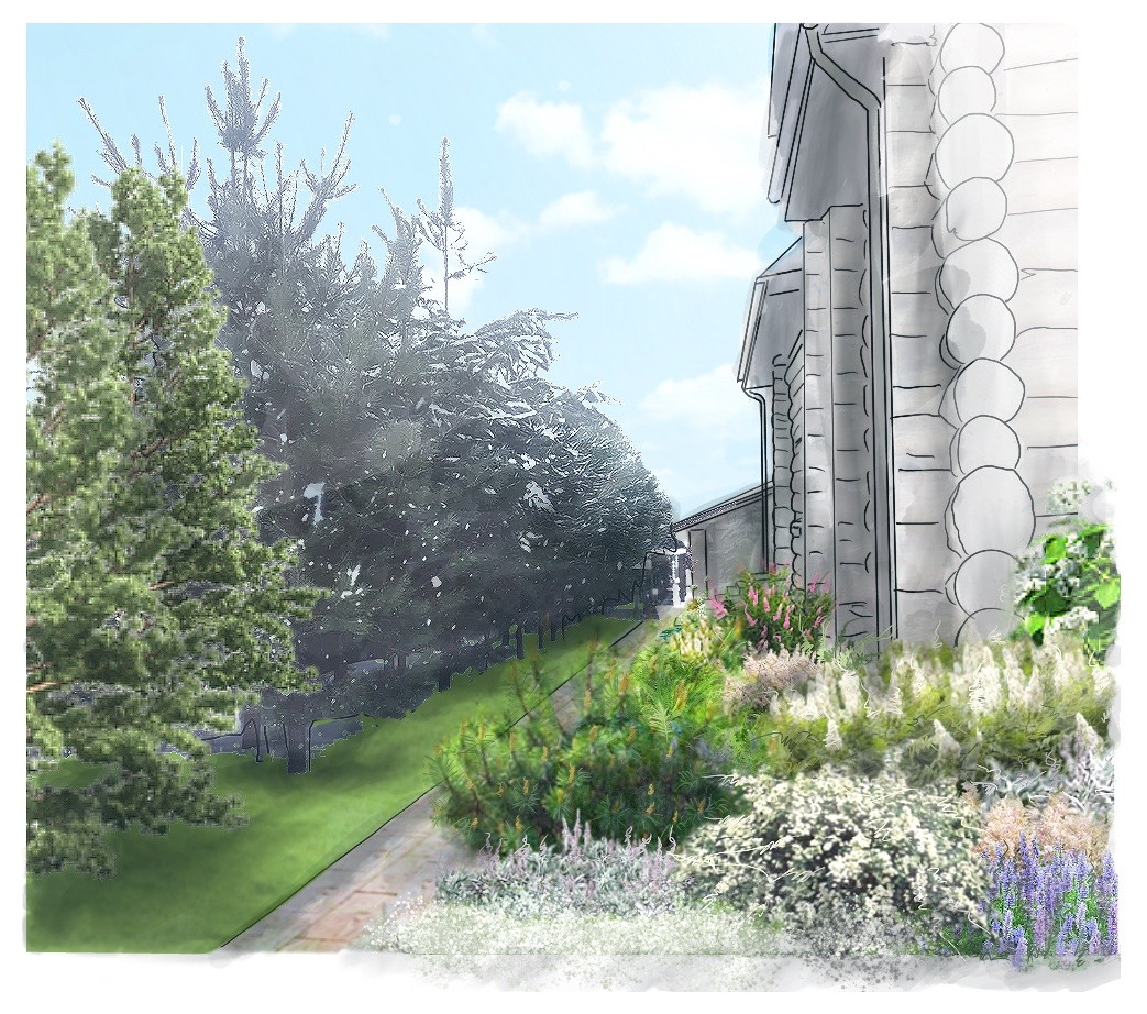 Обложка проекта: Кедровый бор