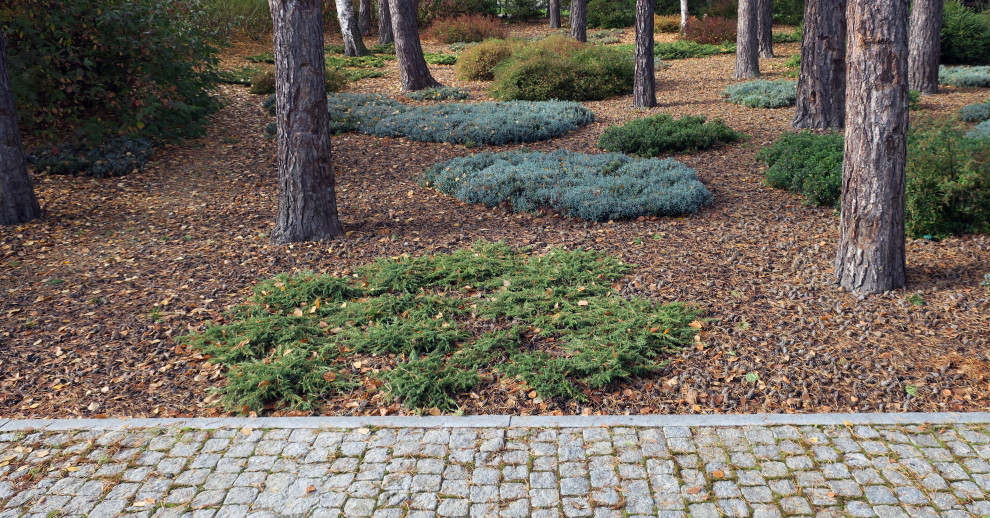 Не нужно бояться темноты