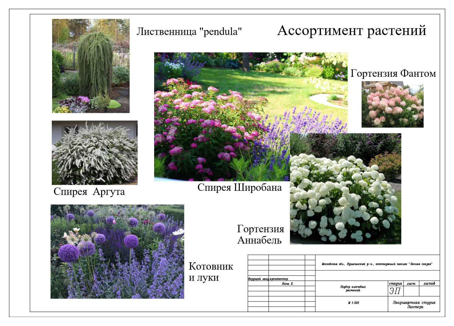 Лесная Сказка