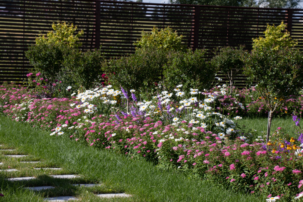 Сосновые берега