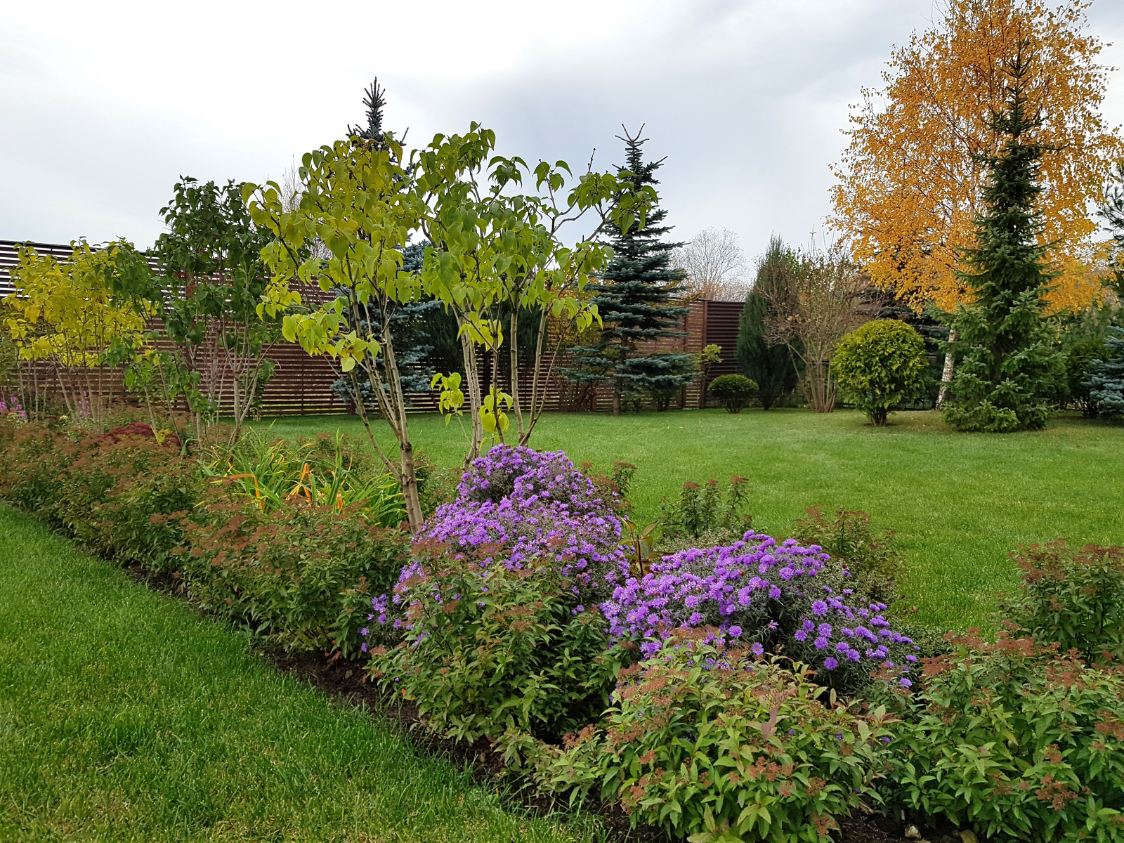 Сосновые берега