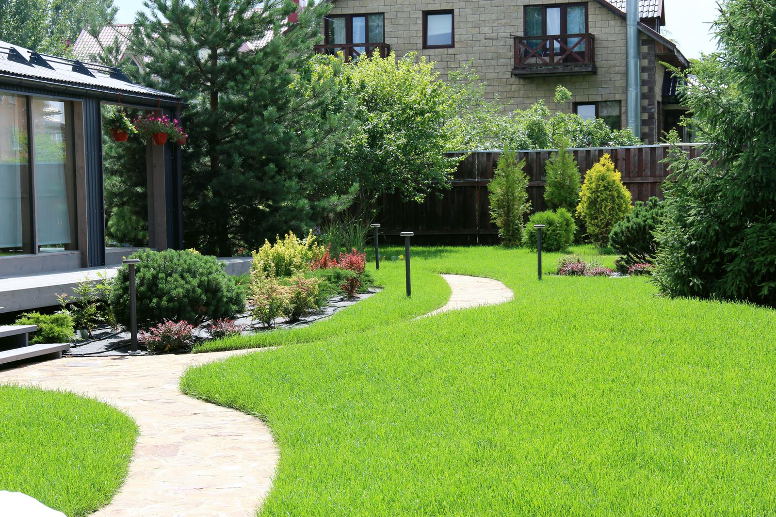 Укладка газона