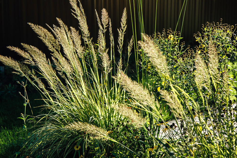 Русские Забавы