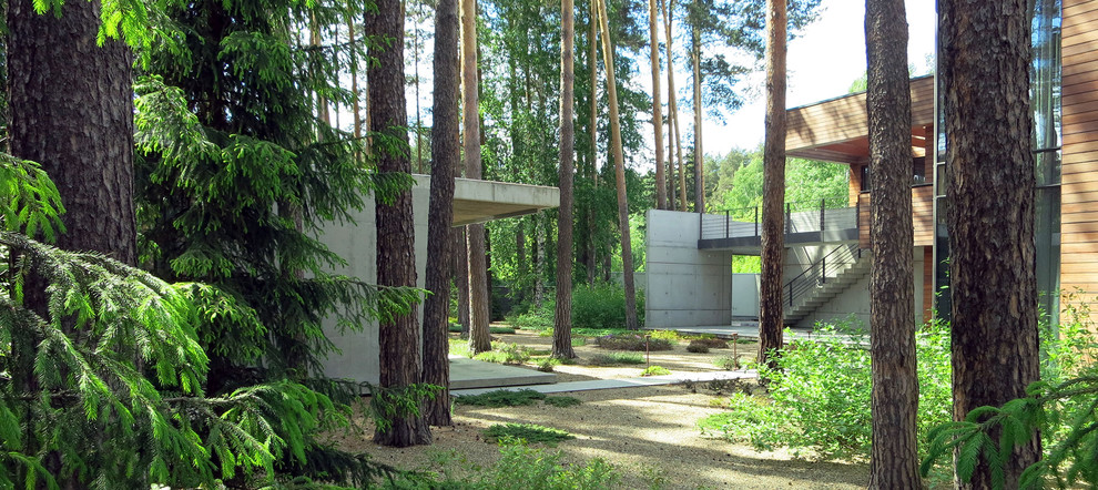 Лесные дорожки, явные и неявные