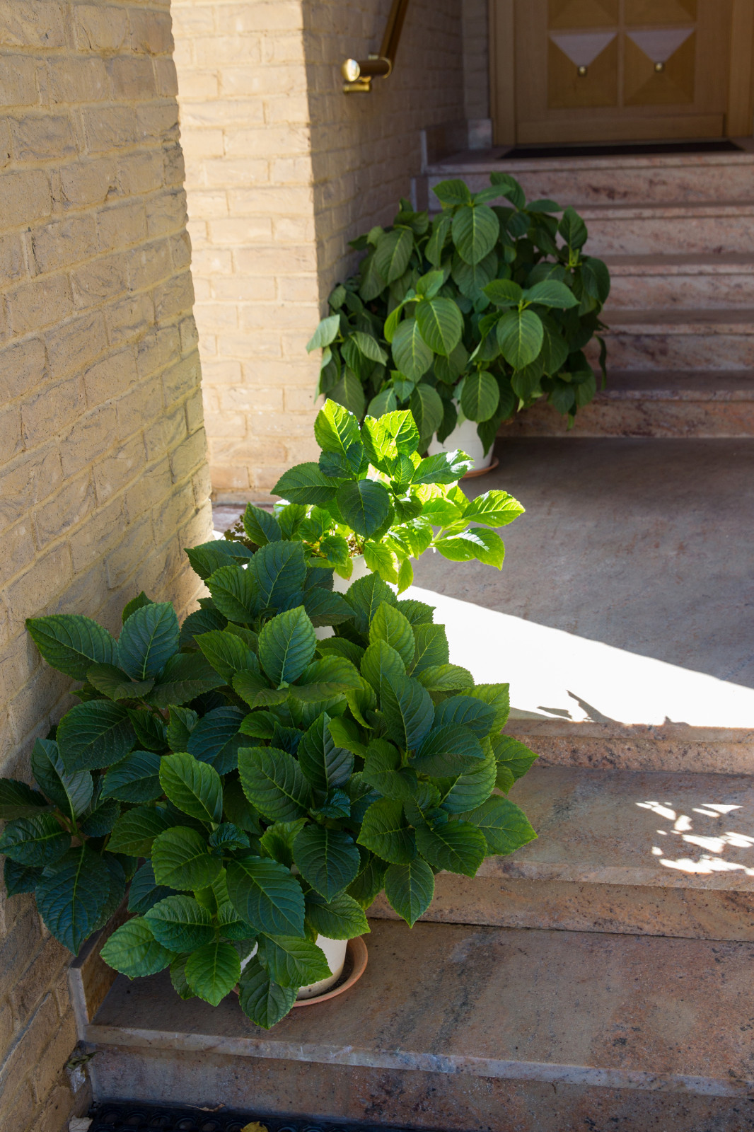 Сад на Пятницком шоссе.  Дизайнер Лариса Юрова