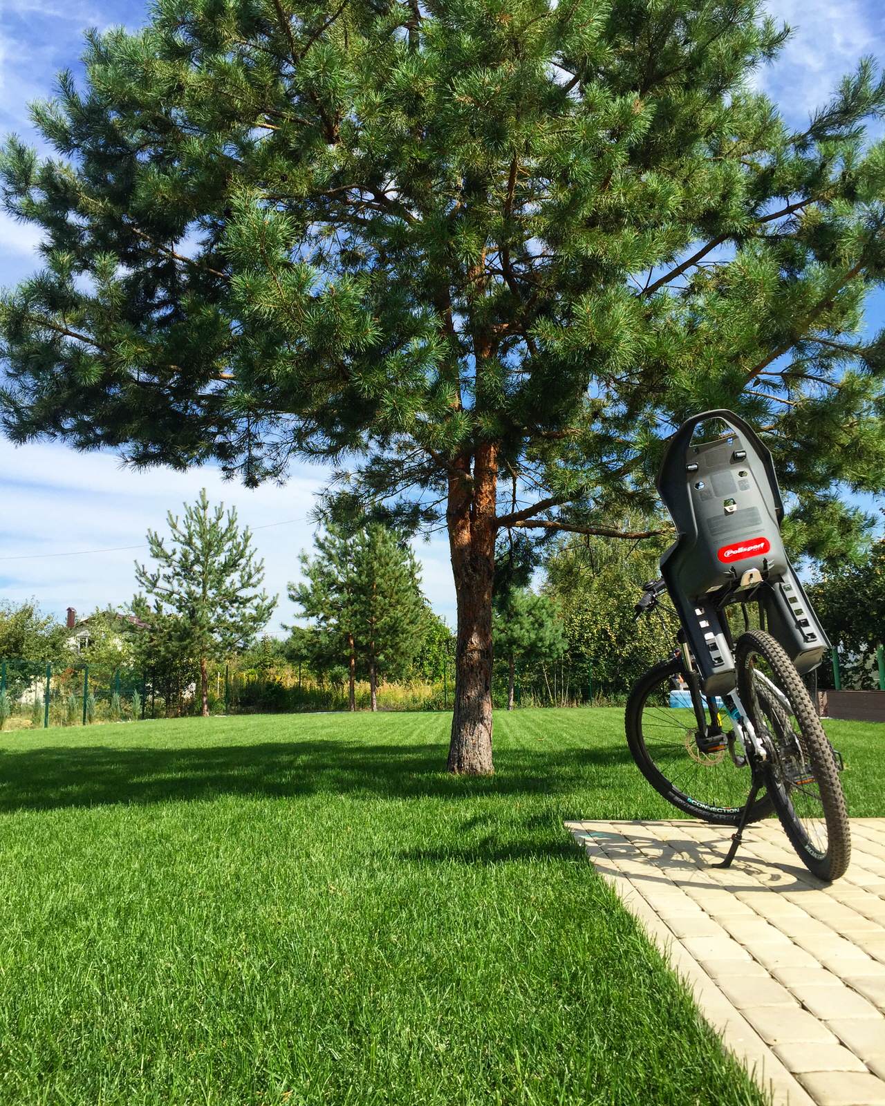 Елена Образцова