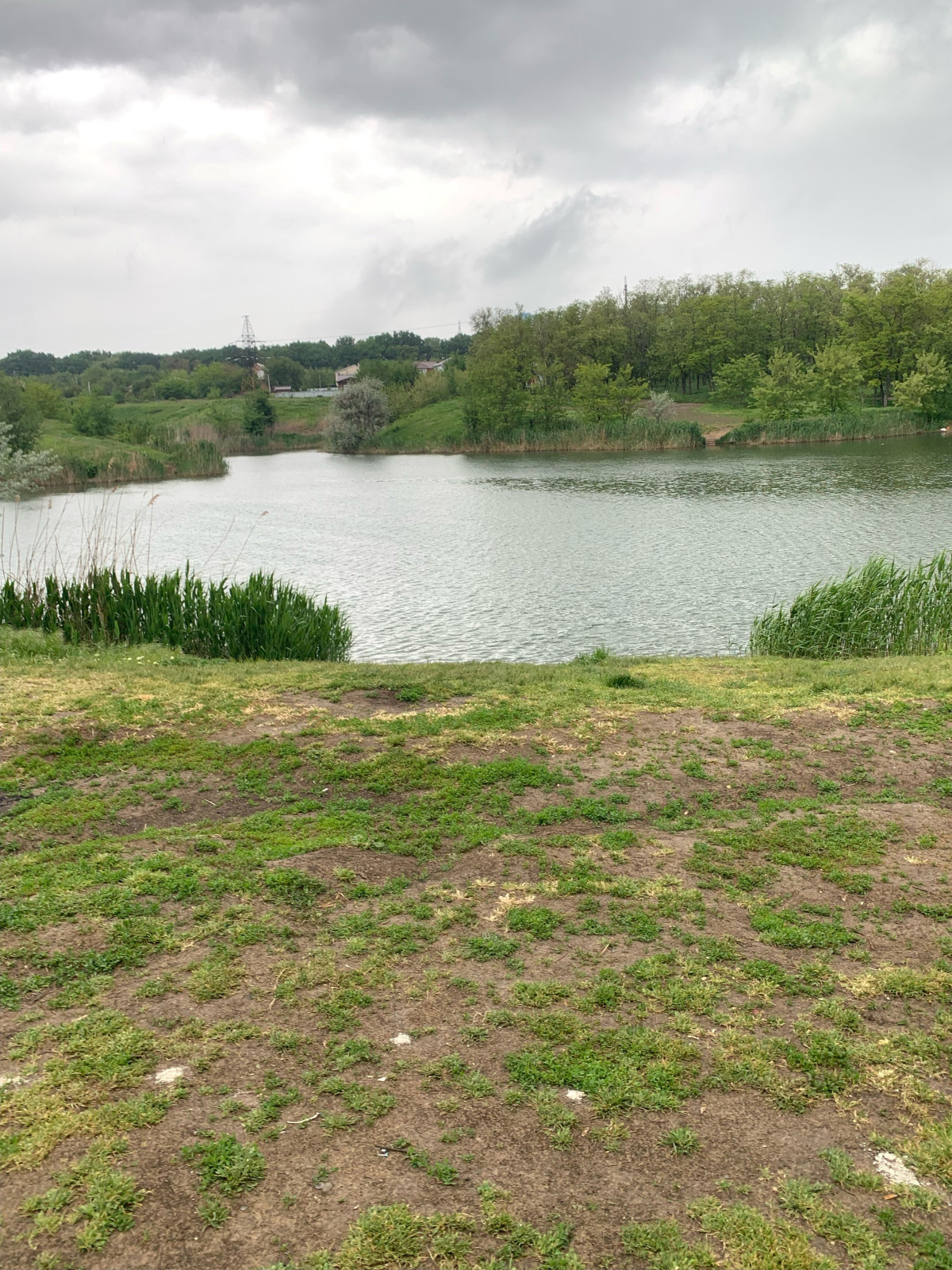 Баса отдыха. Кумжинской роща, берег Дона