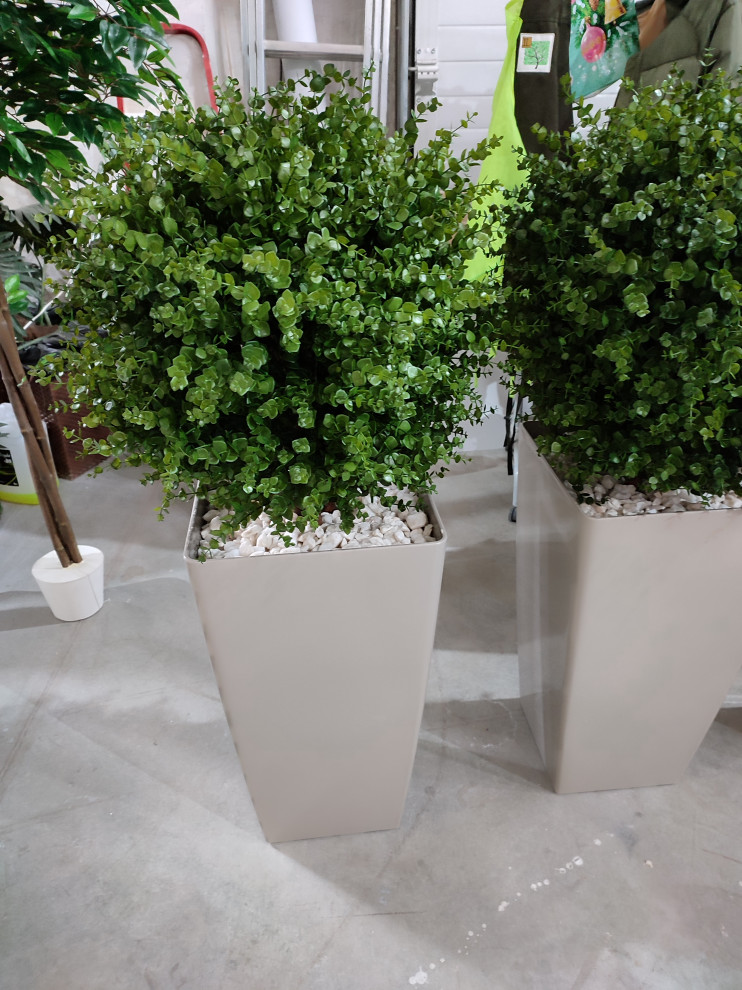 Растения для офисного пространства