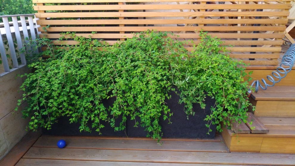 ЖК "Литератор"