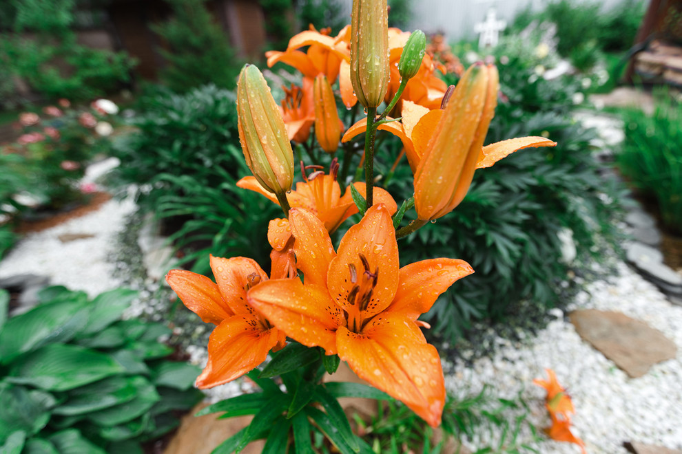 Экстерьер загородного дома