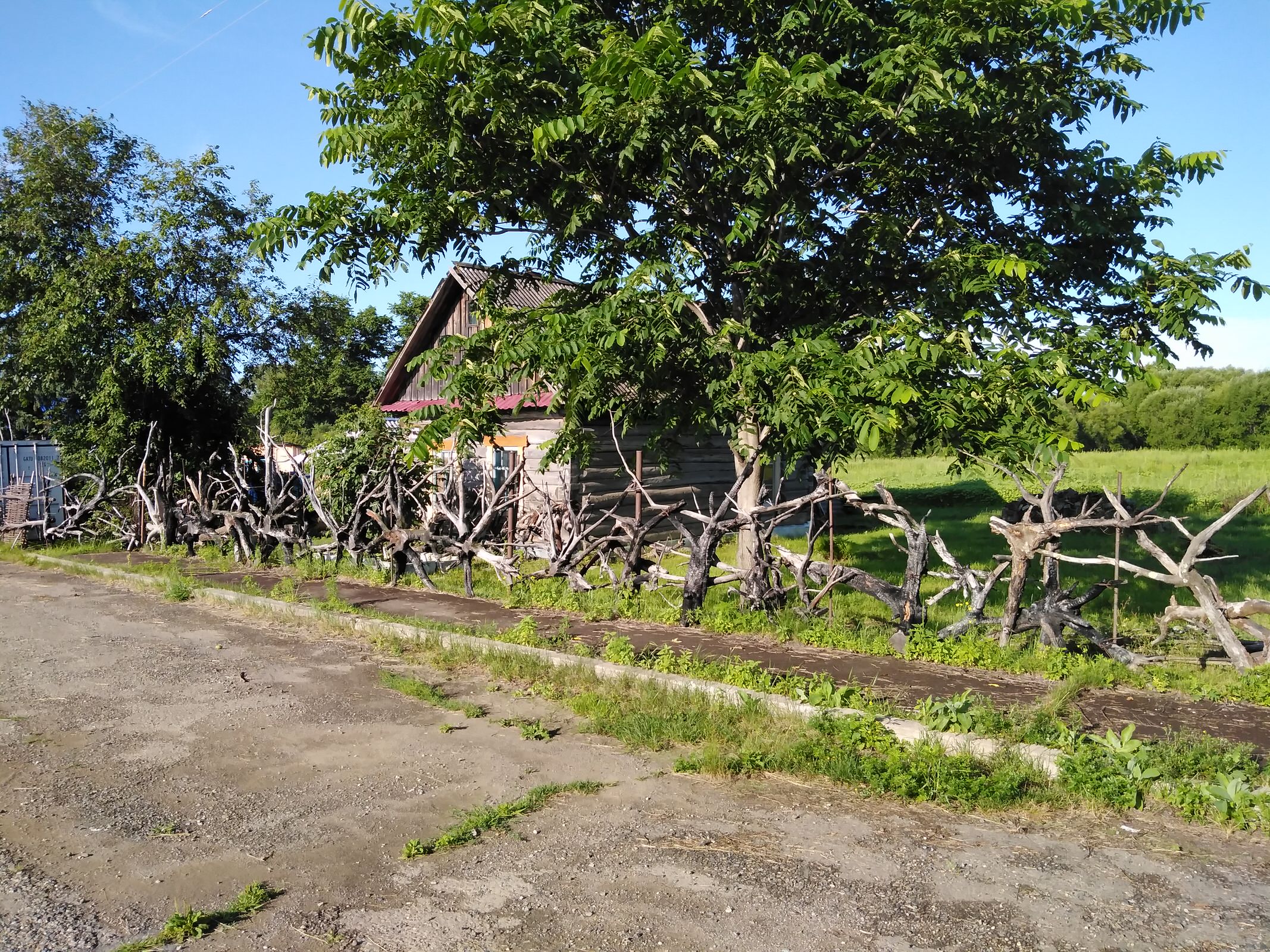 Обложка проекта: ограда