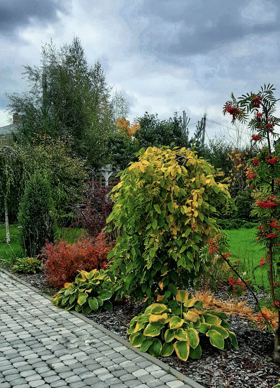 Сад на краю деревни.