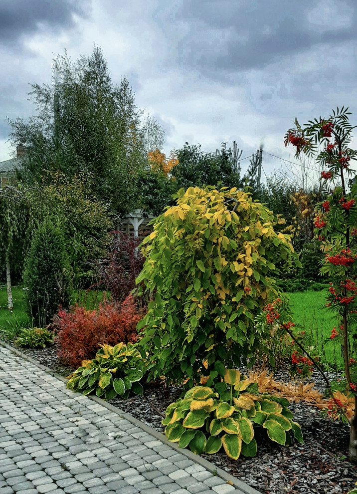 Сад на краю деревни.