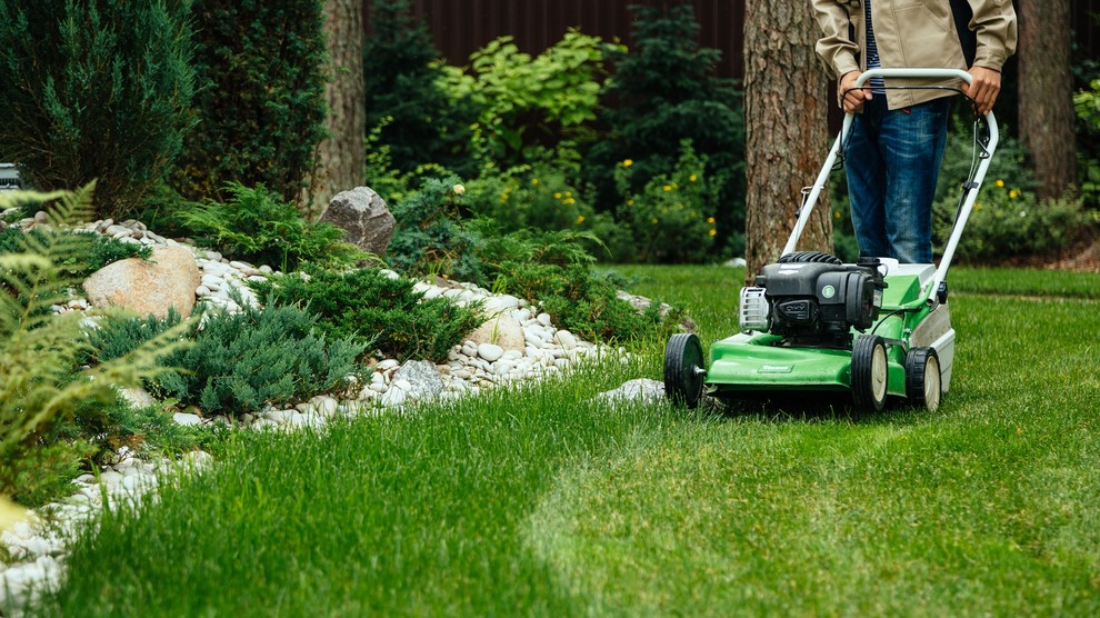 Хороший вопрос: «Сад малого ухода» — сказки ли это