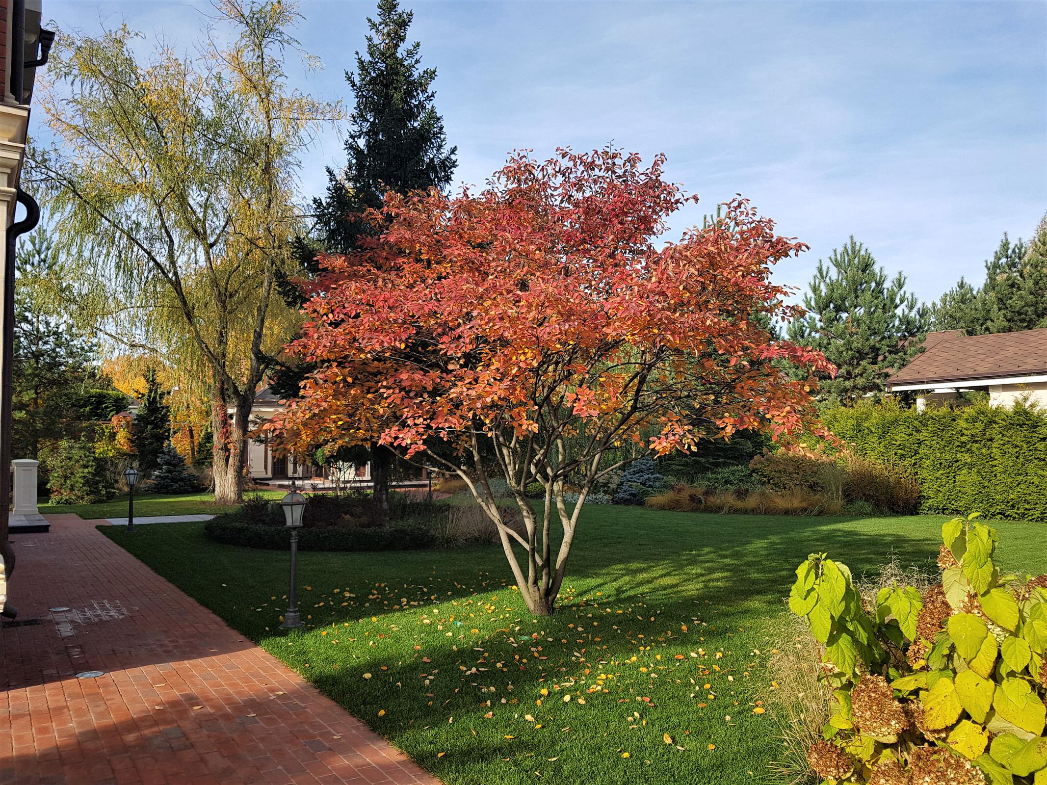 Сад с аурой.Осенние краски