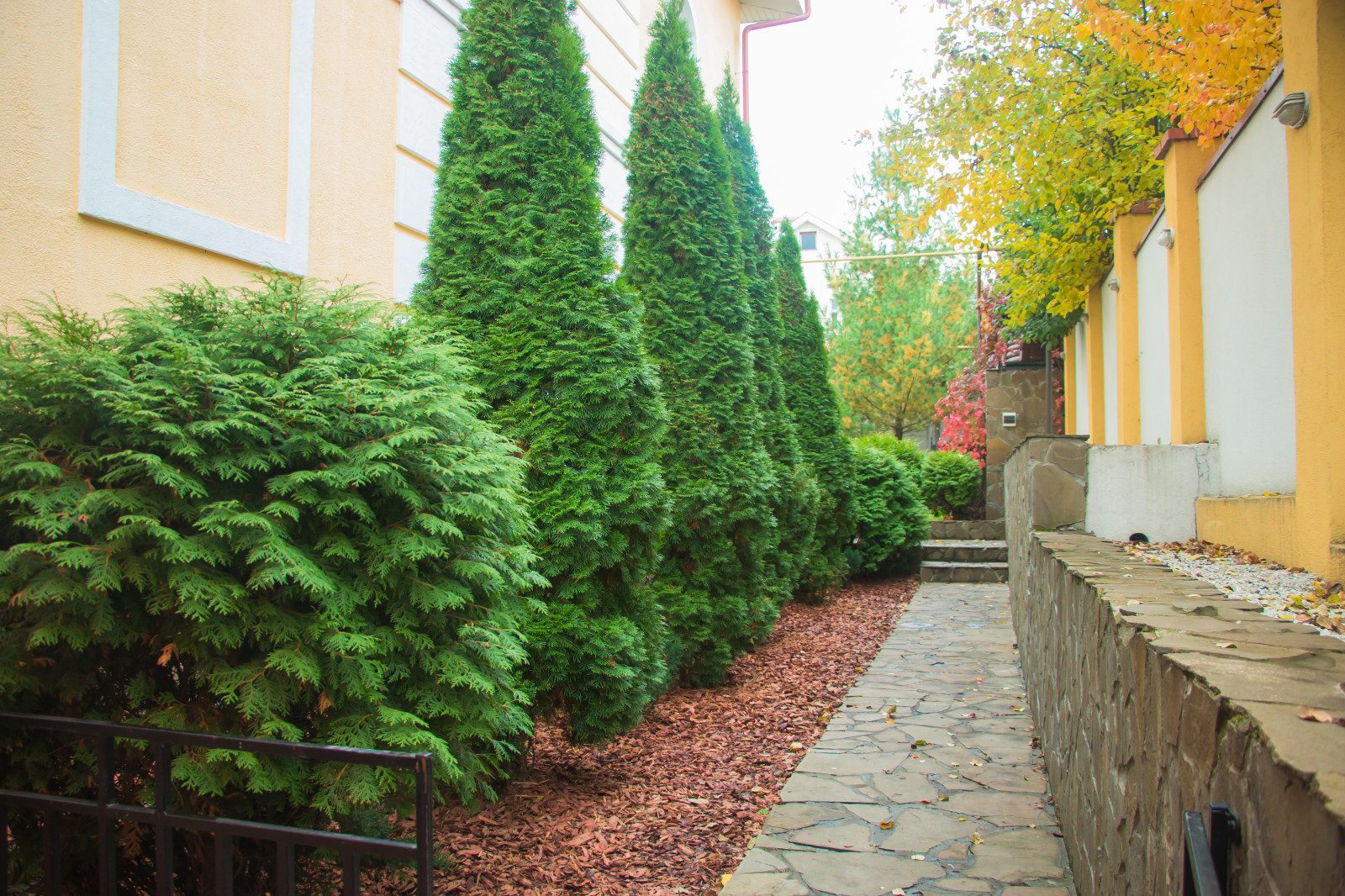 Обложка проекта: Чебоксары 1