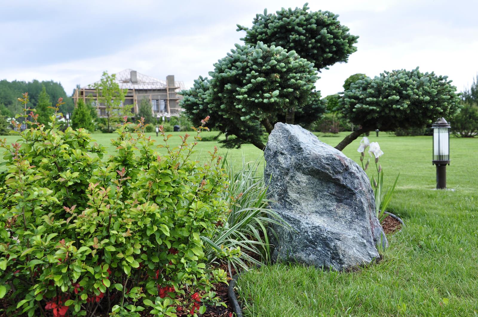 кп "Папушево" - Профессиональный уход за садом - 100% качество!