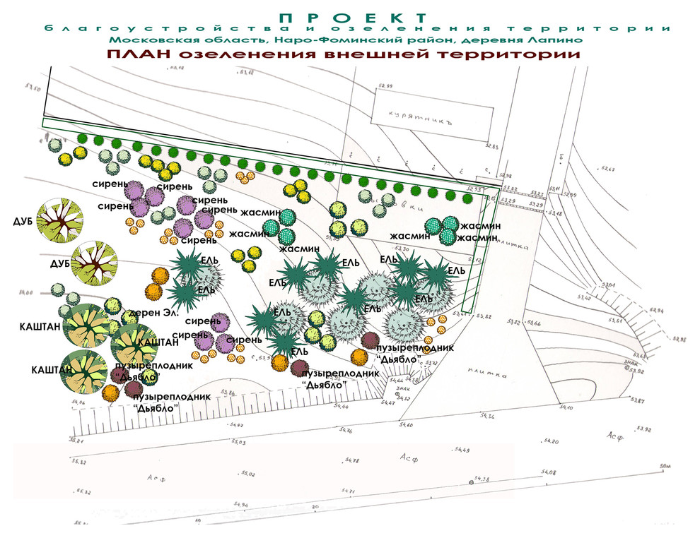 Проект ландшафтного дизайна участка - ПЛАН озеленения внешней территории.