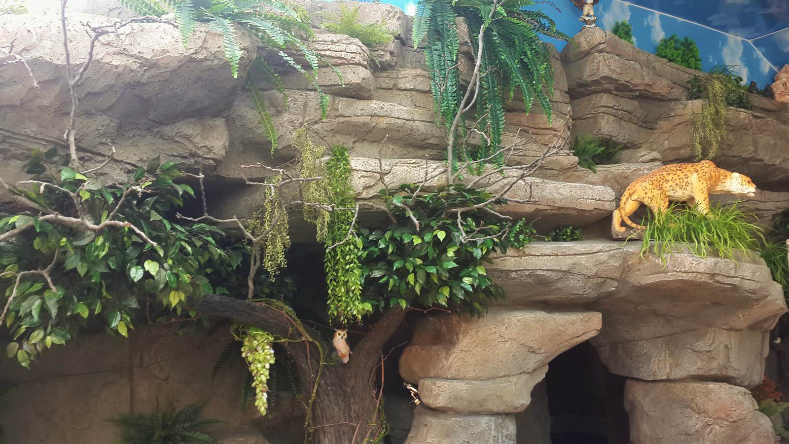 Обложка проекта: Искусственные скалы.